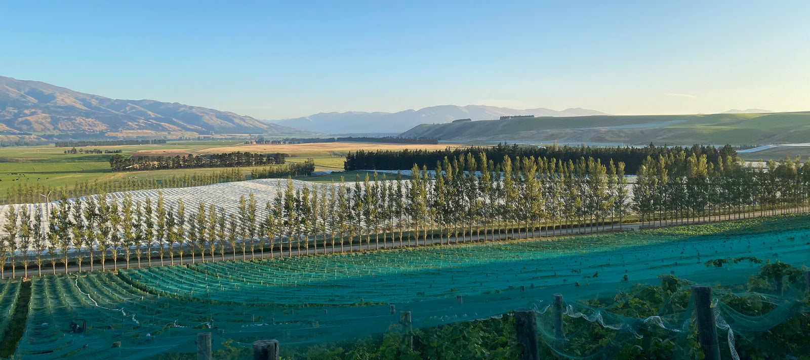 Update regarding Covid-19