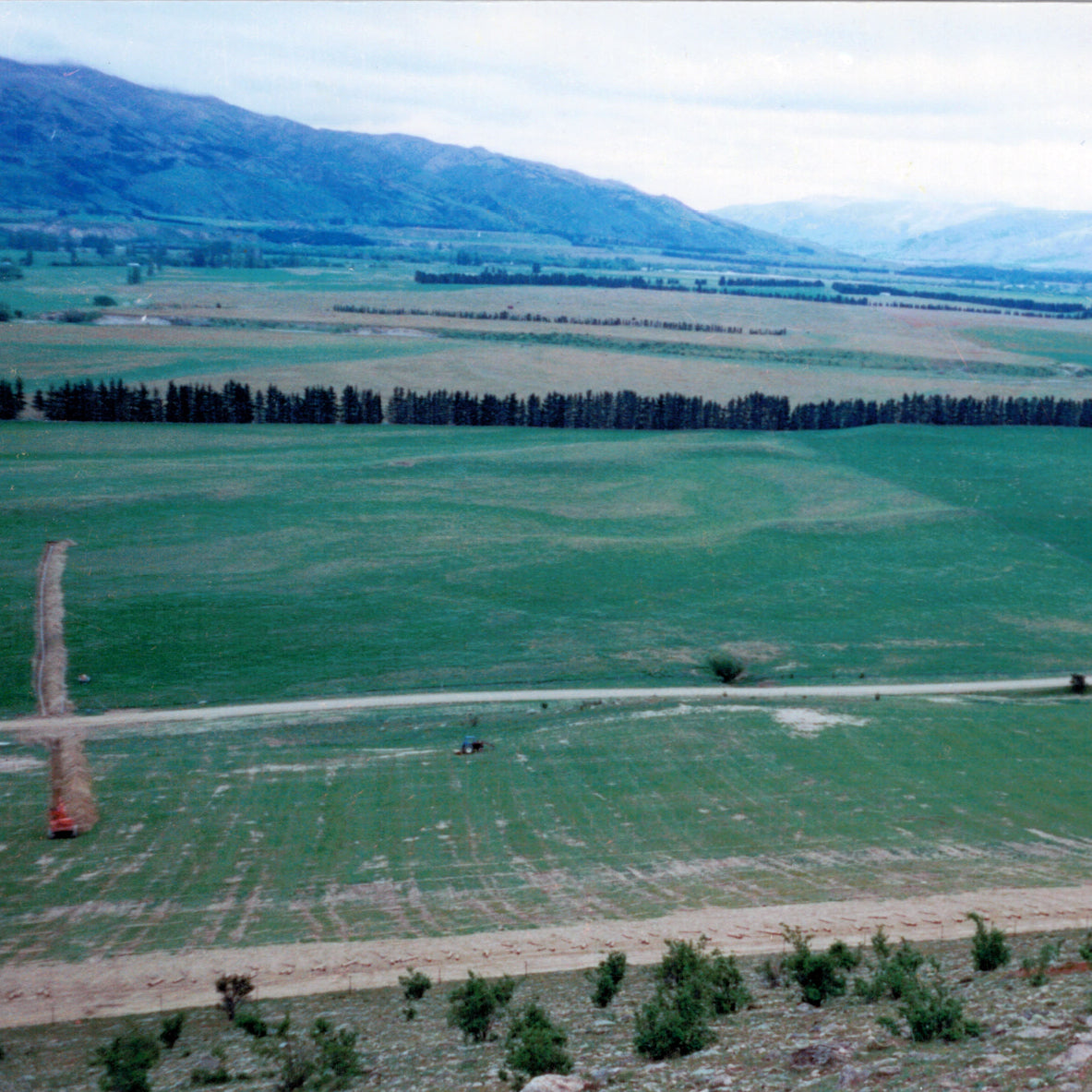 The pioneer vineyard in Bendigo, Central Otago