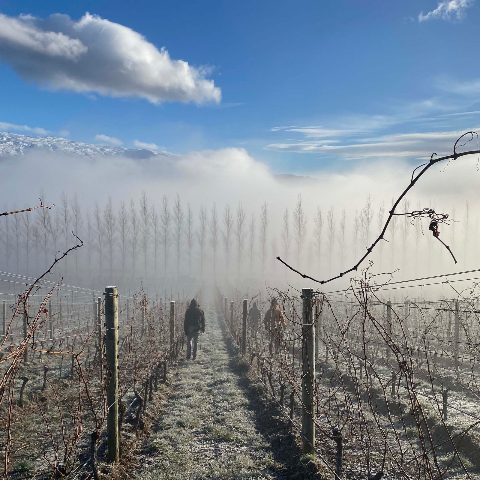 VIVA TOP 50 WINERIES OF 2025 - LIFETIME ACHIEVEMENT AWARD