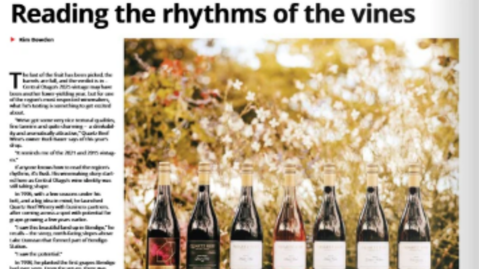 Reading the rhythms of the vines - Kim Bowden