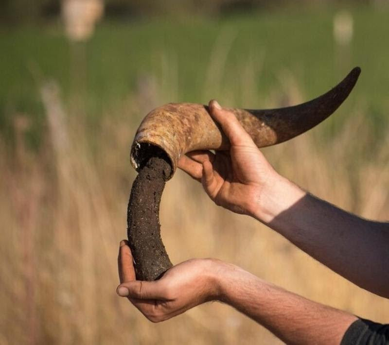 Biodynamic Preperation 500