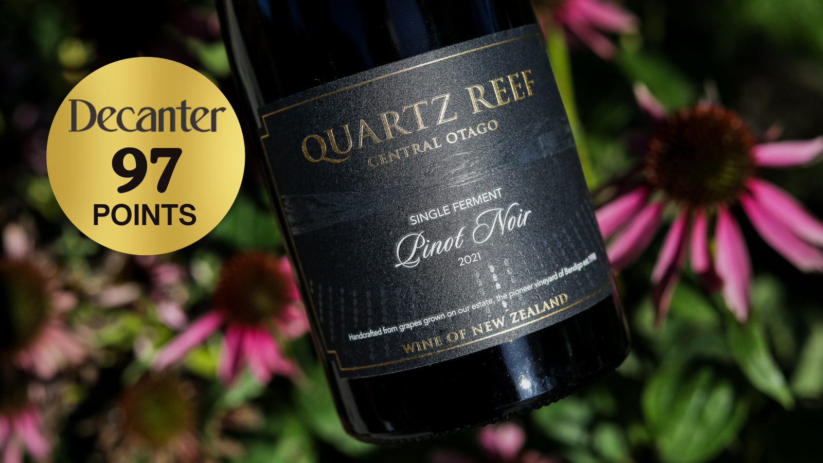 Decanter New Zealand Pinot Noir Report 2025 written by Emma Jenkins