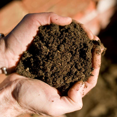 Vineyard Discovery 20 Oct 2022