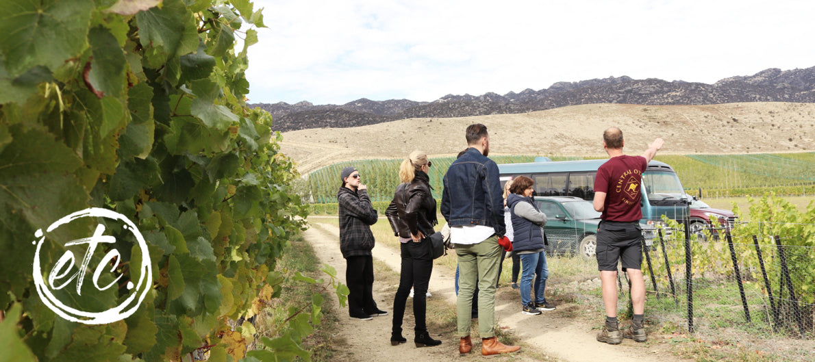 Vineyard Discovery - Saturday October 17th 2020