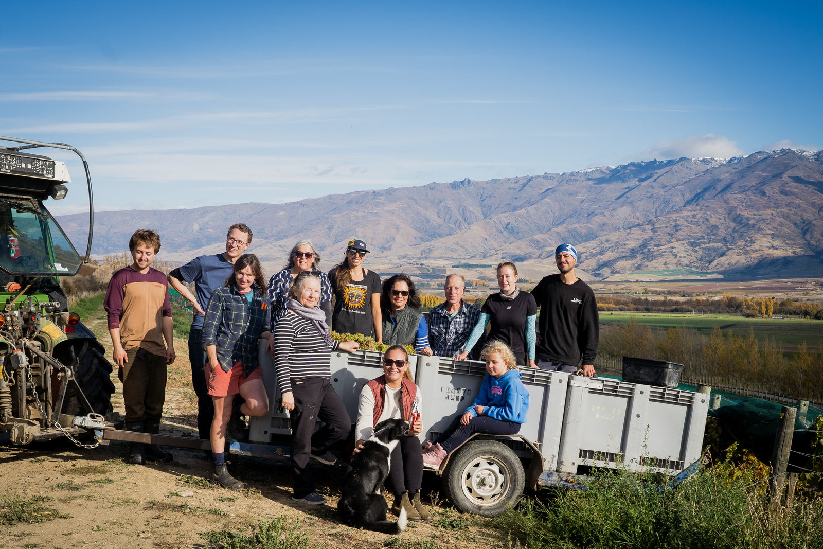 Harvesting Grüner Veltliner at Quartz Reef: A Day of Generations, Friendship & Celebration