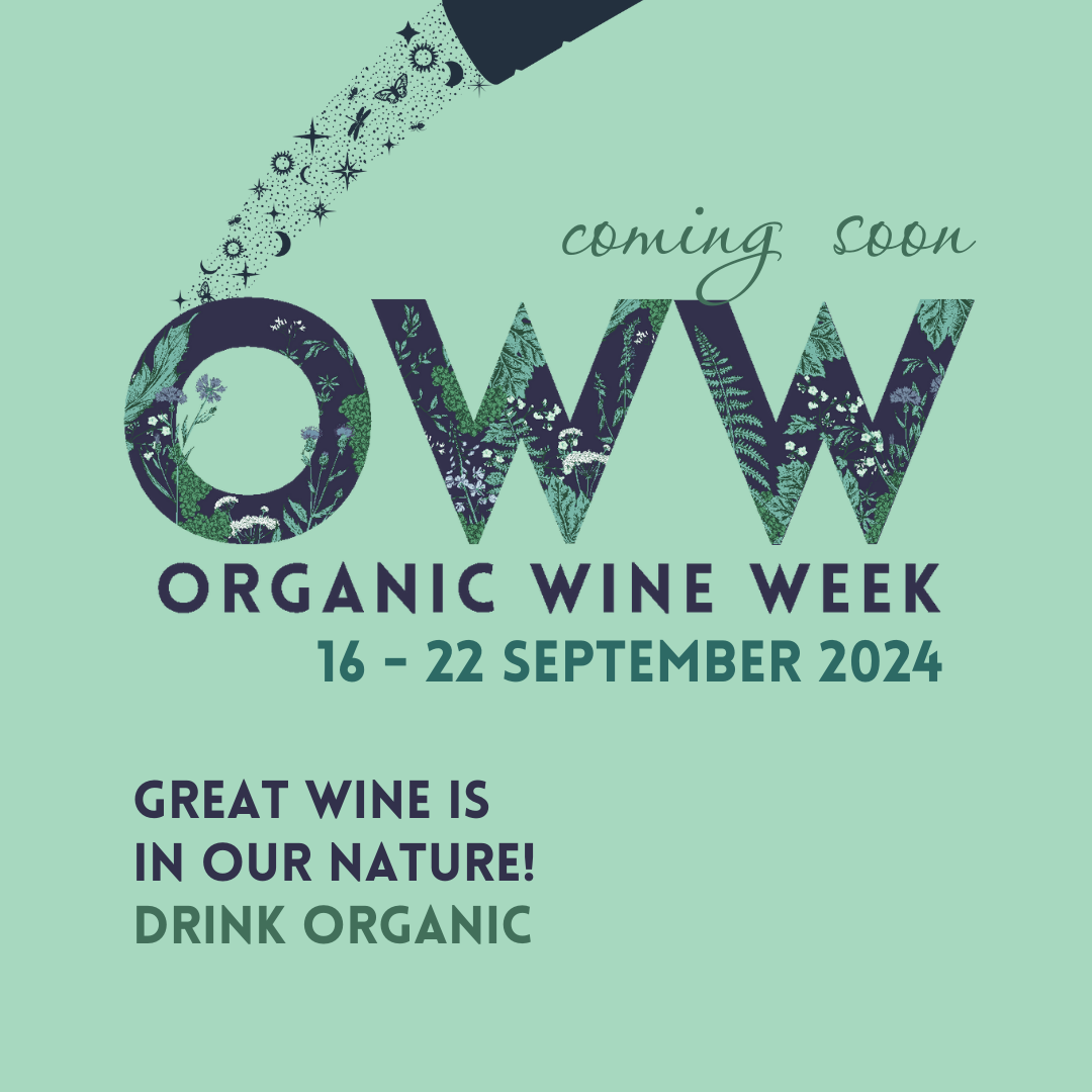 Down to Earth Wellington