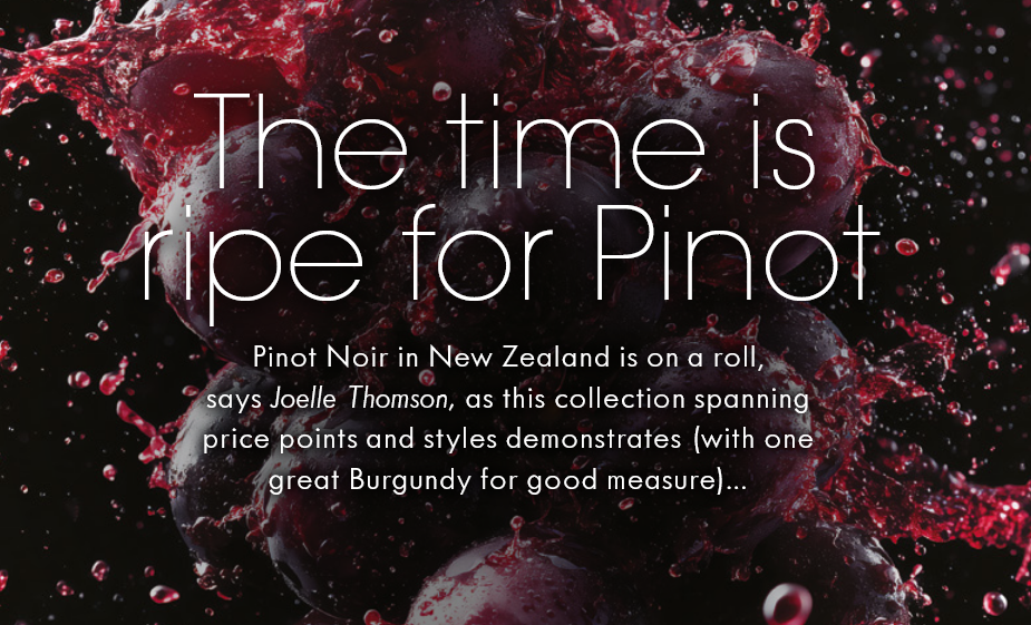 Joelle Thomson about our Single Ferment 2021 Pinot Noir 'Velvet"