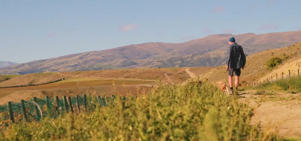 Rudi walking through our organic and biodynamic vineyard, Quartz Reef Estate in Bendigo